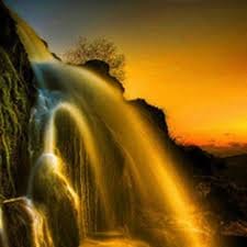 عمران خان avatar