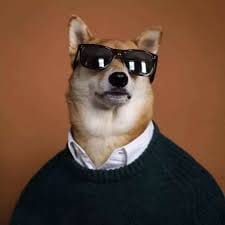 سیرا یوسف avatar