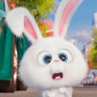 چودھری شجاعت avatar