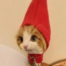 علی نقوی avatar